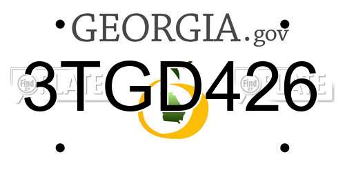 3TGD426 Georgia License Plate