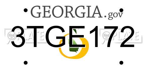 3TGE172 Georgia License Plate