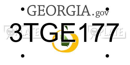 3TGE177 Georgia License Plate