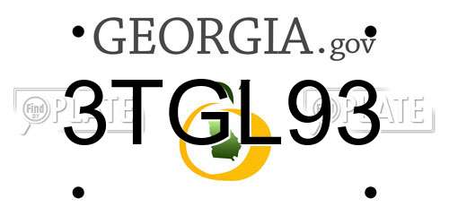 3TGL93 Georgia License Plate