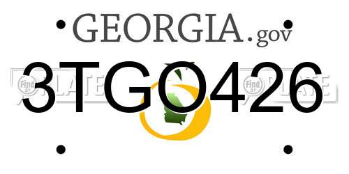 3TGO426 Georgia License Plate