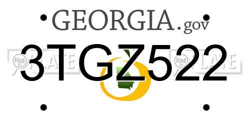 3TGZ522 Georgia License Plate