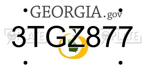3TGZ877 Georgia License Plate