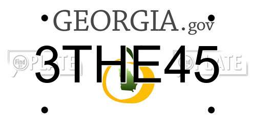 3THE45 Georgia License Plate