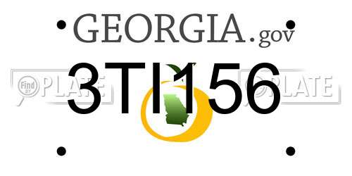 3TI156 Georgia License Plate