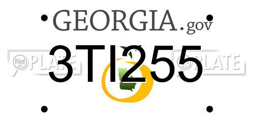 3TI255 Georgia License Plate