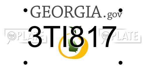 3TI817 Georgia License Plate
