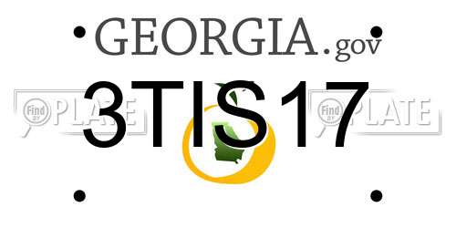 3TIS17 Georgia License Plate