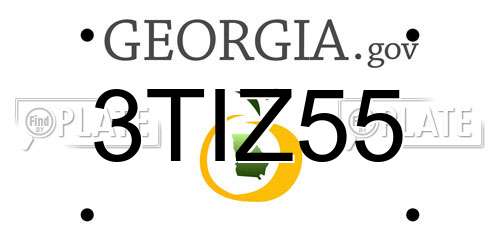3TIZ55 Georgia License Plate