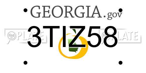 3TIZ58 Georgia License Plate