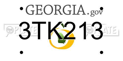 3TK213 Georgia License Plate