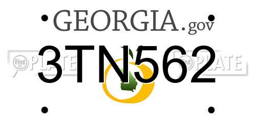 3TN562 Georgia License Plate