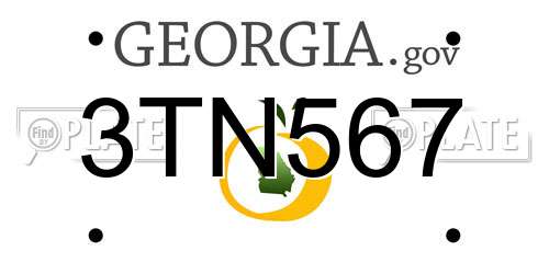 3TN567 Georgia License Plate