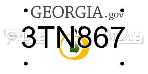 3TN867 Georgia License Plate