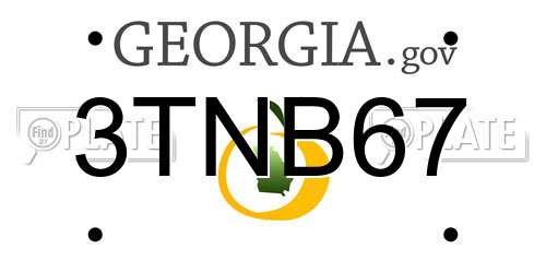 3TNB67 Georgia License Plate