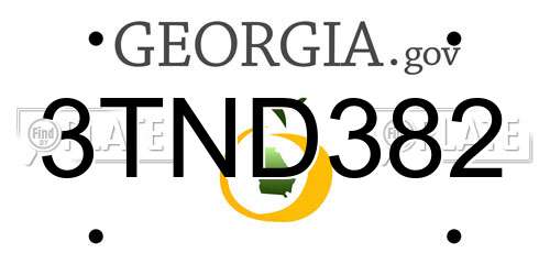 3TND382 Georgia License Plate