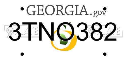 3TNO382 Georgia License Plate