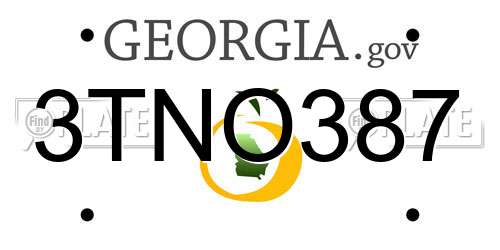 3TNO387 Georgia License Plate