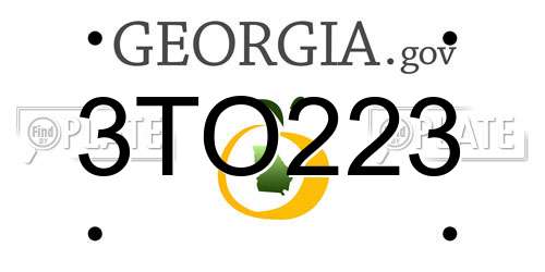 3TO223 Georgia License Plate