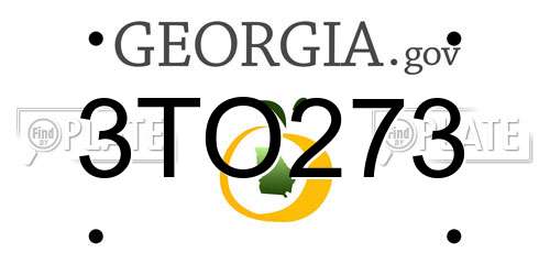 3TO273 Georgia License Plate