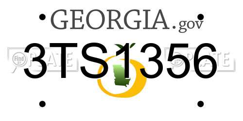 3TS1356 Georgia License Plate