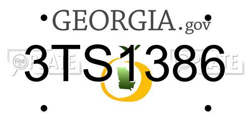 3TS1386 Georgia License Plate