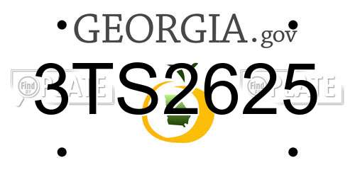 3TS2625 Georgia License Plate