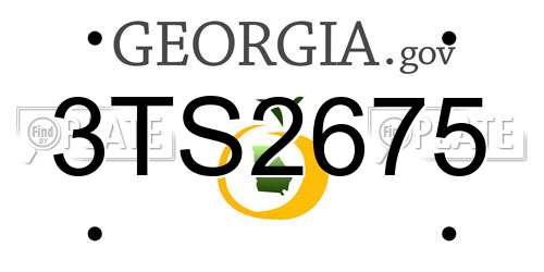 3TS2675 Georgia License Plate