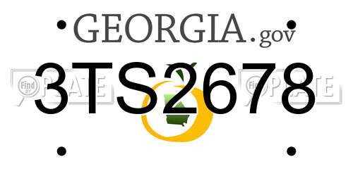 3TS2678 Georgia License Plate
