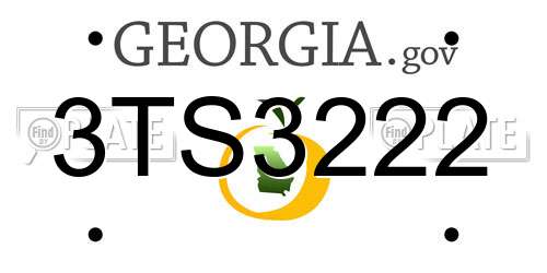 3TS3222 Georgia License Plate