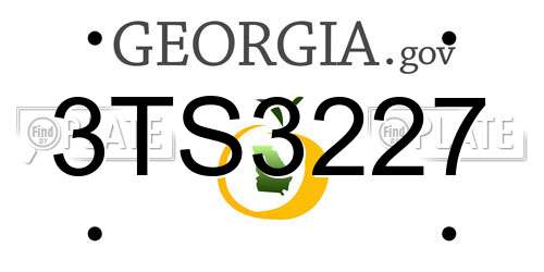 3TS3227 Georgia License Plate