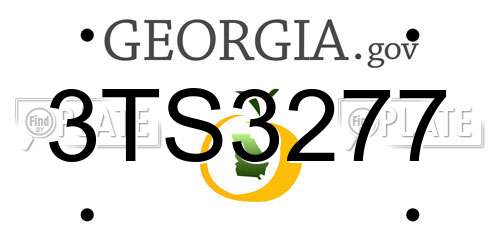 3TS3277 Georgia License Plate