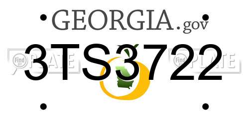 3TS3722 Georgia License Plate
