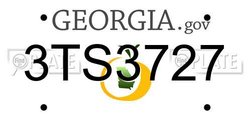 3TS3727 Georgia License Plate