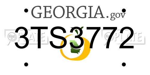 3TS3772 Georgia License Plate