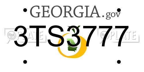 3TS3777 Georgia License Plate