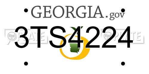 3TS4224 Georgia License Plate