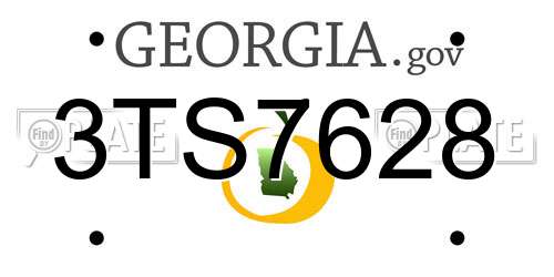 3TS7628 Georgia License Plate