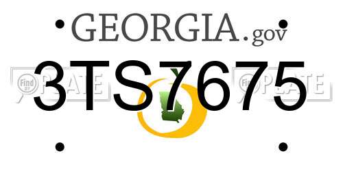 3TS7675 Georgia License Plate