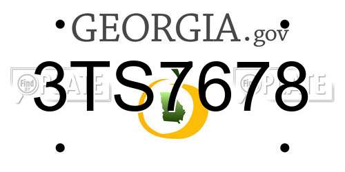 3TS7678 Georgia License Plate