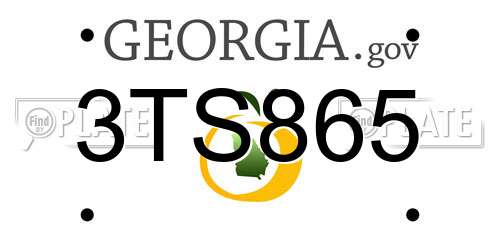 3TS865 Georgia License Plate