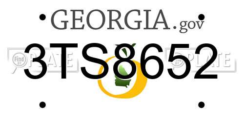 3TS8652 Georgia License Plate