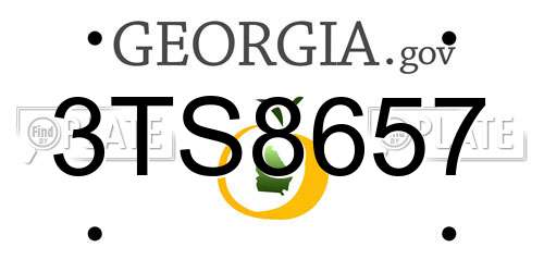 3TS8657 Georgia License Plate