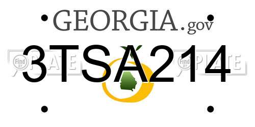 3TSA214 Georgia License Plate