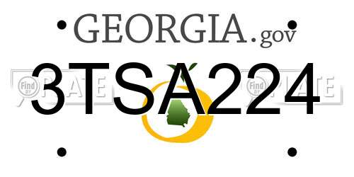 3TSA224 Georgia License Plate