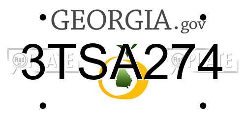 3TSA274 Georgia License Plate