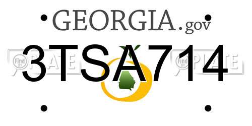 3TSA714 Georgia License Plate