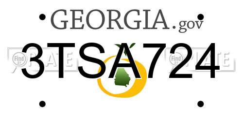 3TSA724 Georgia License Plate