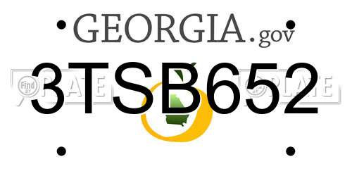 3TSB652 Georgia License Plate