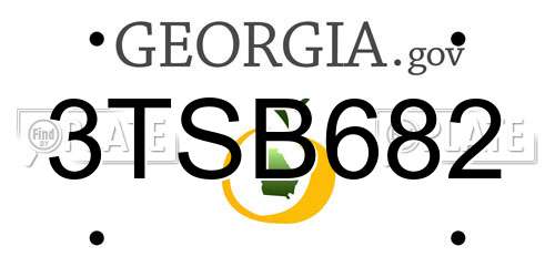 3TSB682 Georgia License Plate